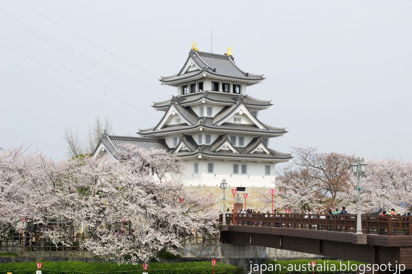 🏯 오가키 성 이미지 7